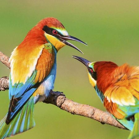 Im Herzen Des Kraichgaus 1 Ostringen Ngoại thất bức ảnh
